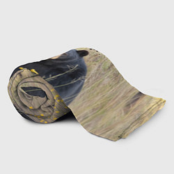 Плед флисовый Володя - мишка, цвет: 3D-велсофт — фото 2