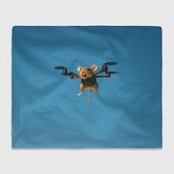 Плед флисовый Маусини Кводрокоптини мем, цвет: 3D-велсофт