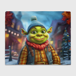 Плед флисовый Милый Шрек зимой, цвет: 3D-велсофт