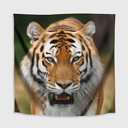 Скатерть для стола Рык тигра, цвет: 3D-принт