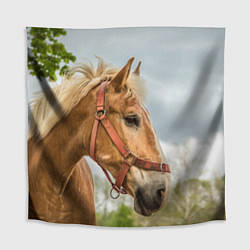 Скатерть для стола Игривая лошадка, цвет: 3D-принт