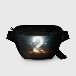 Поясная сумка Destiny 2, цвет: 3D-принт