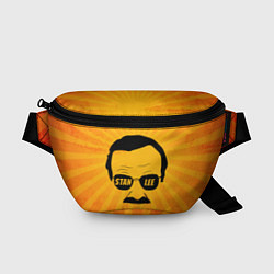 Поясная сумка Stan Lee 1922-2018 цвета 3D-принт — фото 1