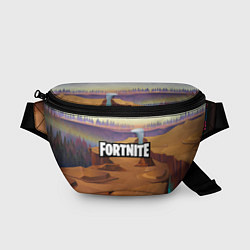Поясная сумка Fortnite: Dust View, цвет: 3D-принт