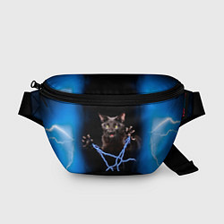 Поясная сумка Грозовой кошакгромовержец, цвет: 3D-принт