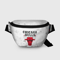 Поясная сумка CHICAGO BULLS, цвет: 3D-принт