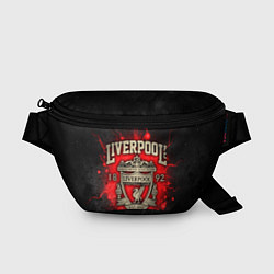 Поясная сумка LIVERPOOL FC, цвет: 3D-принт