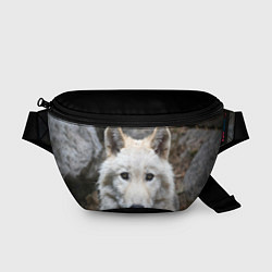 Поясная сумка Волк, цвет: 3D-принт