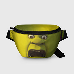Поясная сумка Shrek is Yelling, цвет: 3D-принт