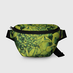Поясная сумка Растительная жизнь - Хоста, цвет: 3D-принт