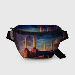 Поясная сумка Animals - Pink Floyd, цвет: 3D-принт