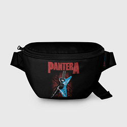 Поясная сумка PANTERA гитара, цвет: 3D-принт