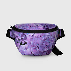Поясная сумка Фиолетово-сиреневые цветы, цвет: 3D-принт