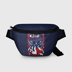 Поясная сумка English rock band The Who, цвет: 3D-принт