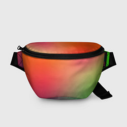 Поясная сумка Color multicolored