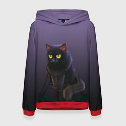 Женская толстовка Черный кот на фиолетовом