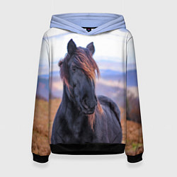 Толстовка-худи женская Черный конь, цвет: 3D-черный