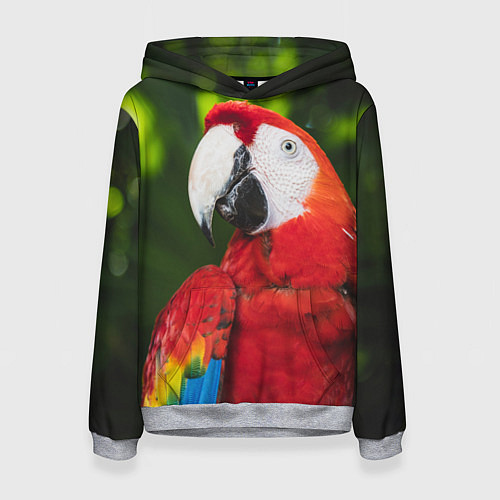 Женская толстовка Красный попугай Ара / 3D-Меланж – фото 1