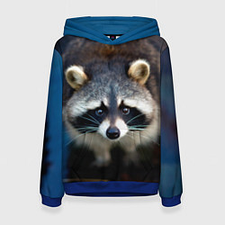 Толстовка-худи женская Застенчивый енот, цвет: 3D-синий
