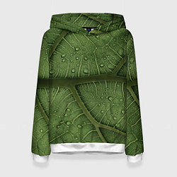 Толстовка-худи женская Текстура зелёной листы, цвет: 3D-белый