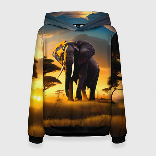 Женская толстовка Слон и рассвет в саванне / 3D-Черный – фото 1