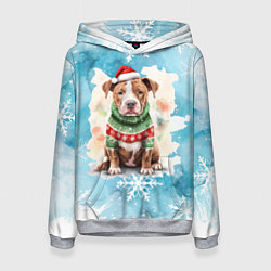 Толстовка-худи женская Питбуль в новогоднем костюме, цвет: 3D-меланж