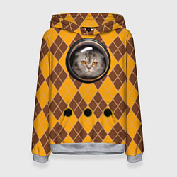 Толстовка-худи женская Аргайл кот в переноске, цвет: 3D-меланж