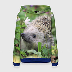 Толстовка-худи женская Лесной ёжик в траве, цвет: 3D-синий