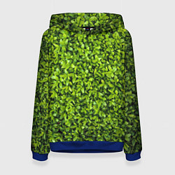 Толстовка-худи женская Зелёная трава листья, цвет: 3D-синий