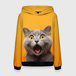 Толстовка-худи женская Удивленный кот, цвет: 3D-черный