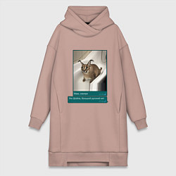 Женское худи-платье Шлёпа, цвет: пыльно-розовый