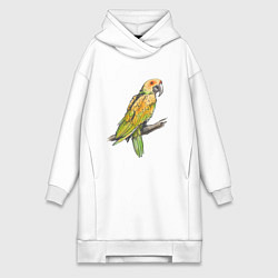 Женское худи-платье Любимый попугай, цвет: белый