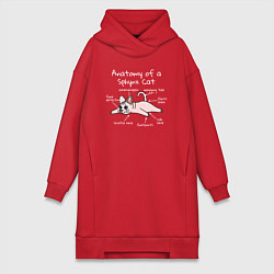 Женское худи-платье Анатомия кошки сфинкса, цвет: красный
