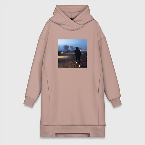 Женская толстовка-платье Pharaoh Philarmonia / Пыльно-розовый – фото 1