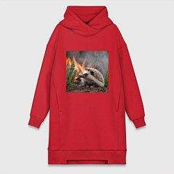 Женская толстовка-платье Ёжик в огне