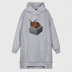 Женская толстовка-платье Кот блоггер Шлепа