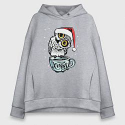 Толстовка оверсайз женская X-mas Owl, цвет: меланж
