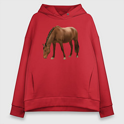 Толстовка оверсайз женская Датская теплокровная лошадь, цвет: красный