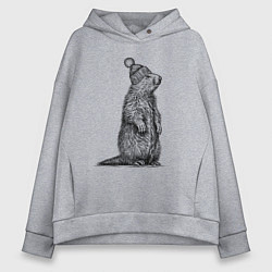 Толстовка оверсайз женская Сурок в шапке, цвет: меланж