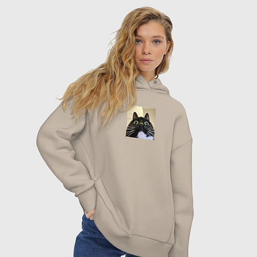 Женское худи оверсайз Видеозвонок с котом парный мем / Миндальный – фото 3