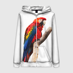 Толстовка на молнии женская Яркий попугай, цвет: 3D-белый