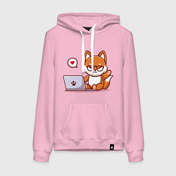 Женская толстовка-худи Cute fox and laptop