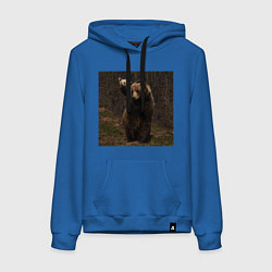 Толстовка-худи хлопковая женская Медведи гуляют по лесу, цвет: синий