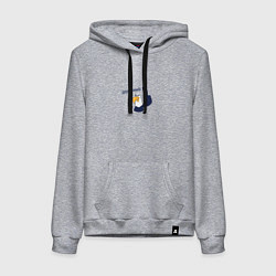 Толстовка-худи хлопковая женская Орел: отлично, цвет: меланж