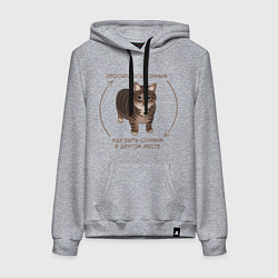 Толстовка-худи хлопковая женская Кот оииа просыпаюсь сонным, цвет: меланж