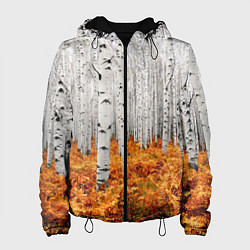 Куртка с капюшоном женская Березовая роща, цвет: 3D-черный