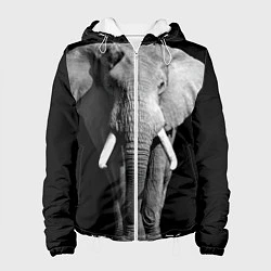 Куртка с капюшоном женская Старый слон, цвет: 3D-белый