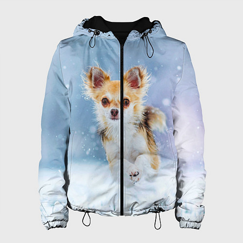 Женская куртка Чихуахуа в снегу / 3D-Черный – фото 1