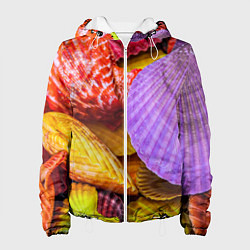 Куртка с капюшоном женская Разноцветные ракушки multicolored seashells, цвет: 3D-белый