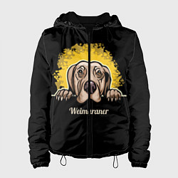 Куртка с капюшоном женская Веймаранер Weimaraner, цвет: 3D-черный